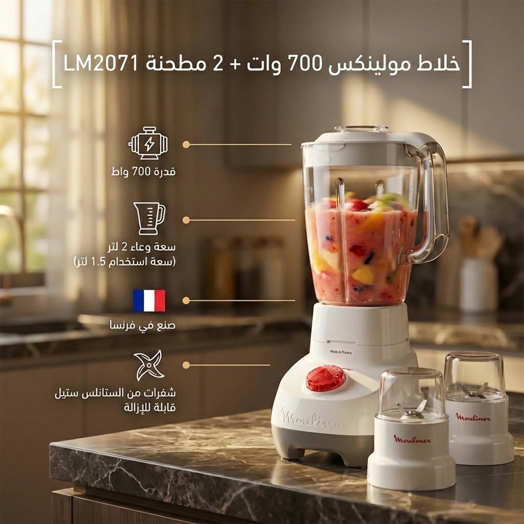 خلاط مولينكس 700 وات - بسعة وعاء 2 لتر - LM2071 - Blanco