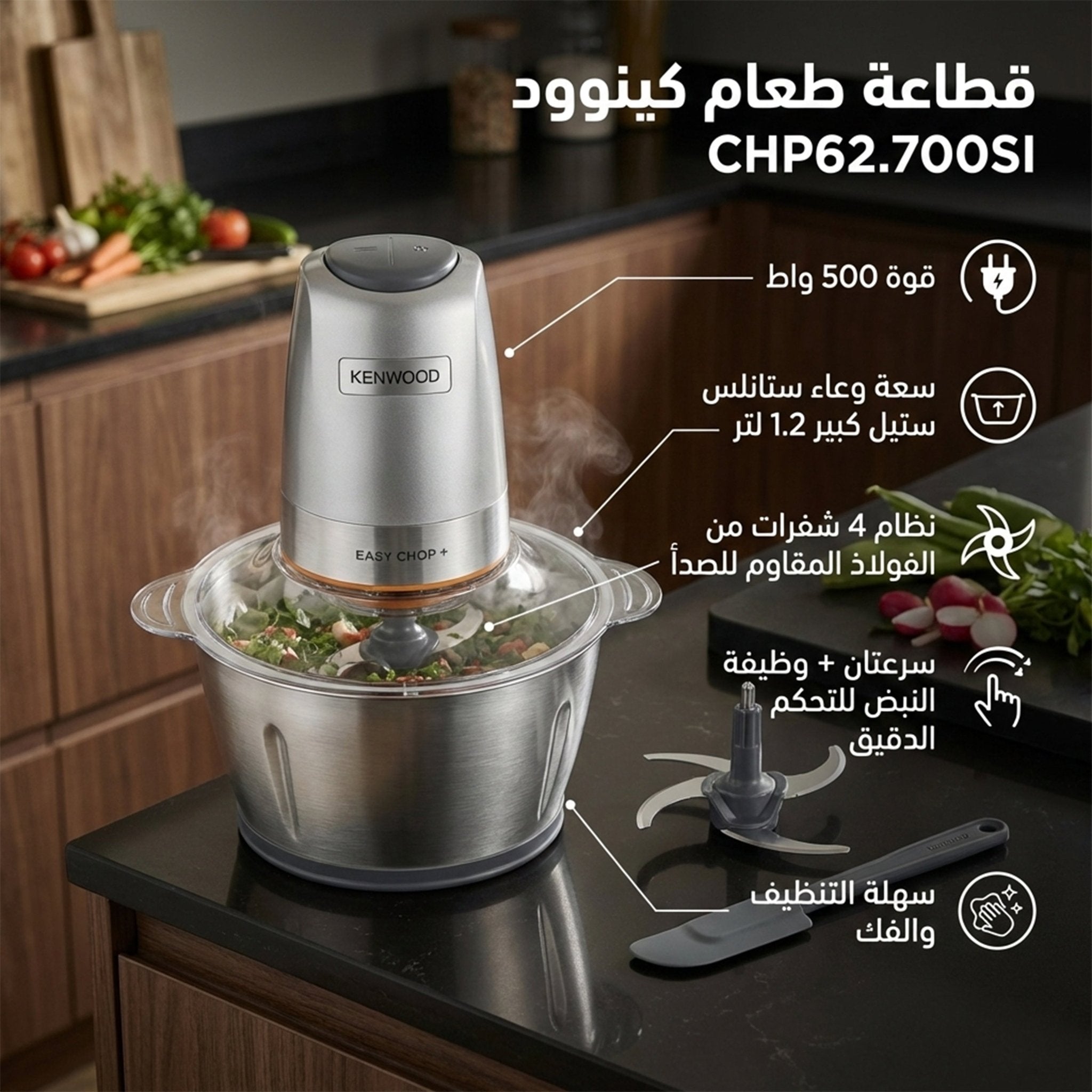 نص بديل للصورة