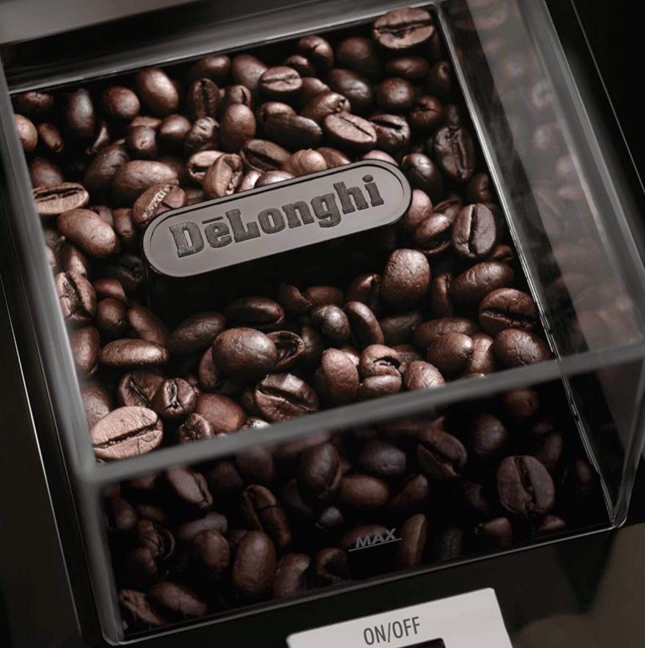 نص بديل للصورة